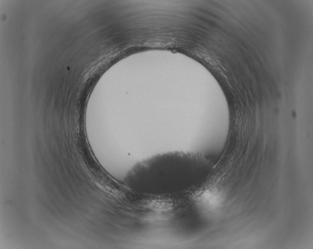 X0000066530303200604071624