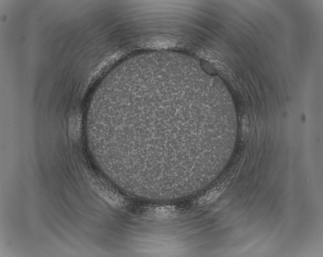 X0000066530304200604071623