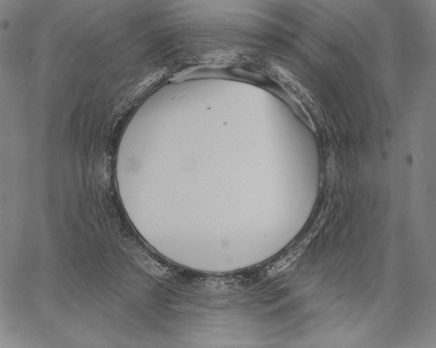 X0000066530305200604071623