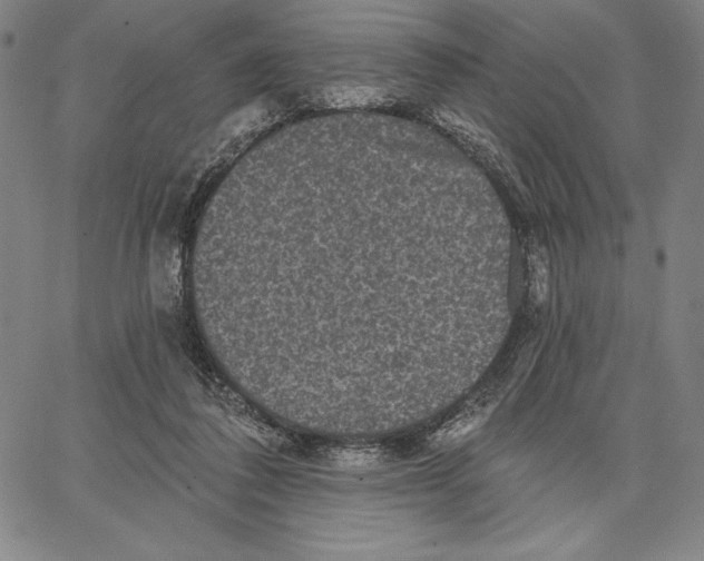 X0000066530308200604071623