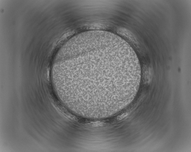 X0000066530310200604071623