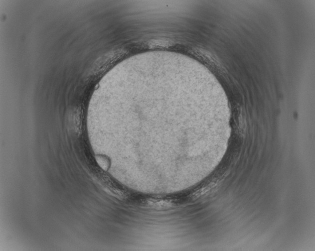 X0000066530311200604071623