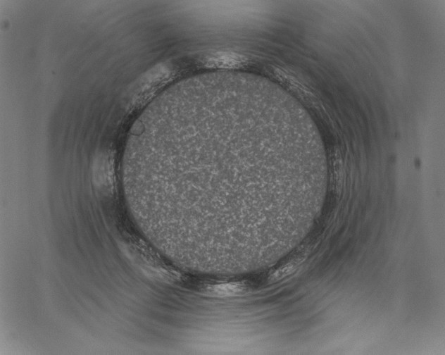 X0000066530312200604071623