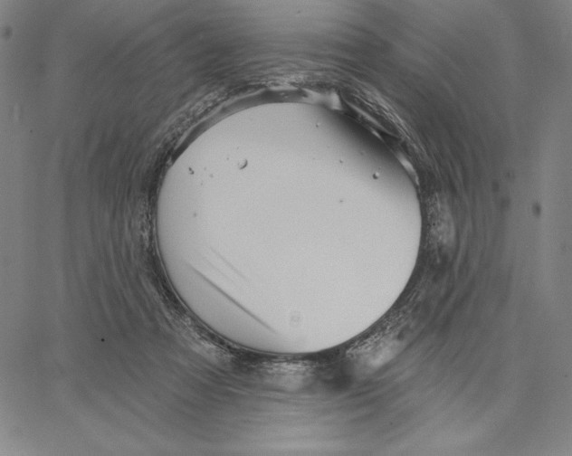 X0000066530313200604071623