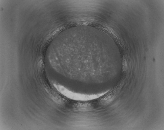 X0000066530314200604071623