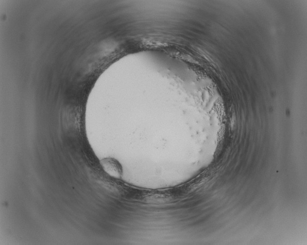 X0000066530315200604071623