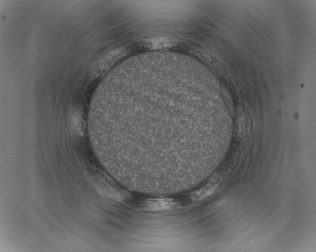 X0000066530316200604071623