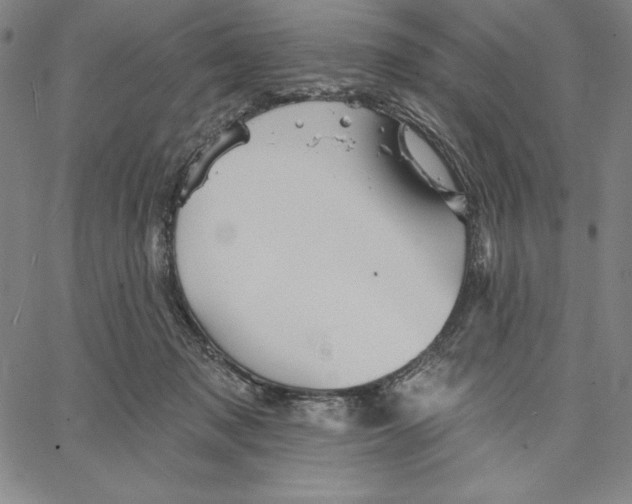 X0000066530317200604071623