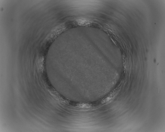 X0000066530319200604071623