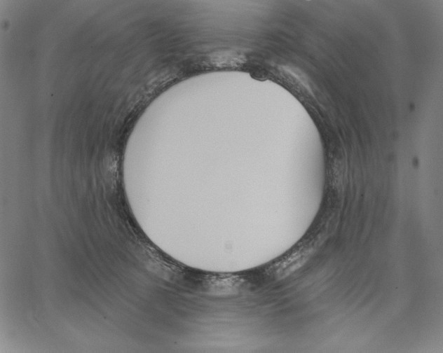 X0000066530321200604071623