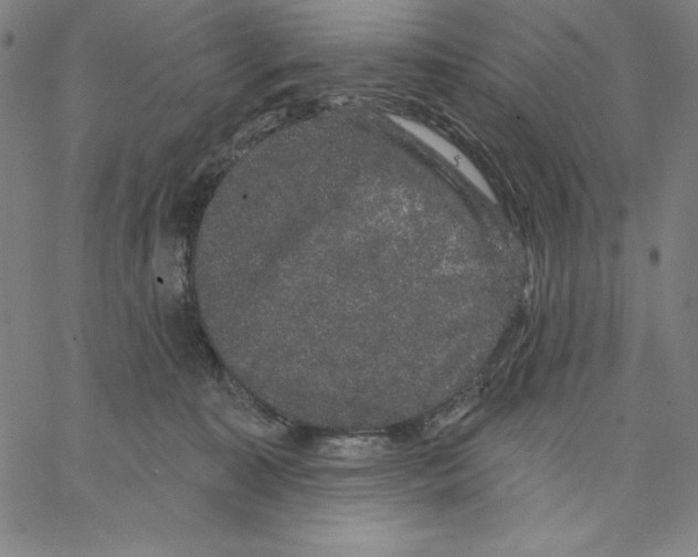 X0000066530323200604071623