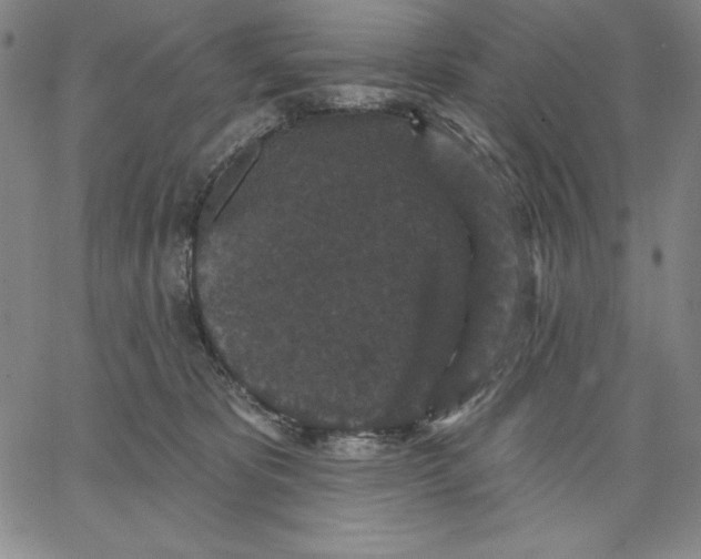 X0000066530325200604071623