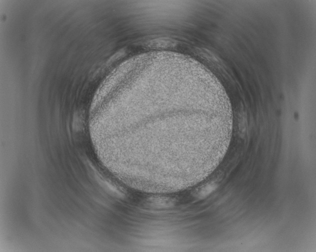 X0000066530326200604071623