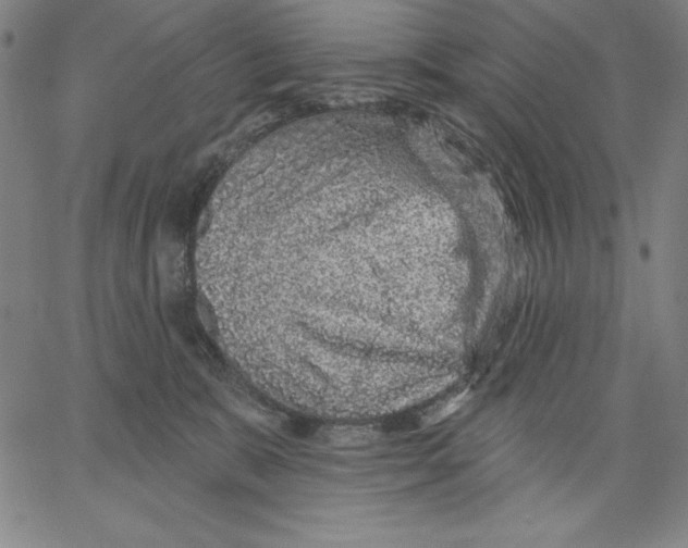 X0000066530327200604071623