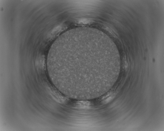 X0000066530328200604071623