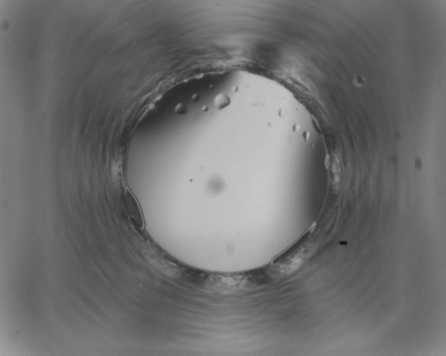 X0000066530329200604071623