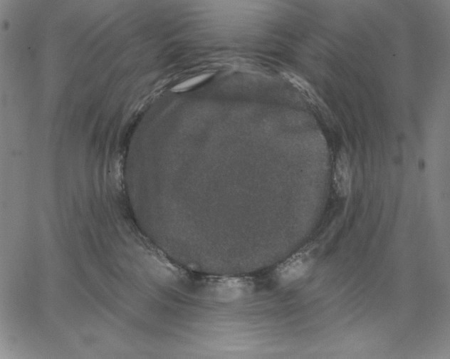 X0000066530330200604071623