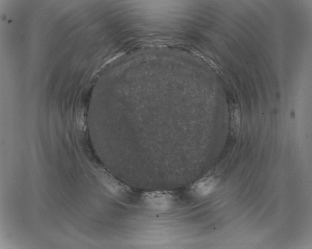 X0000066530331200604071623