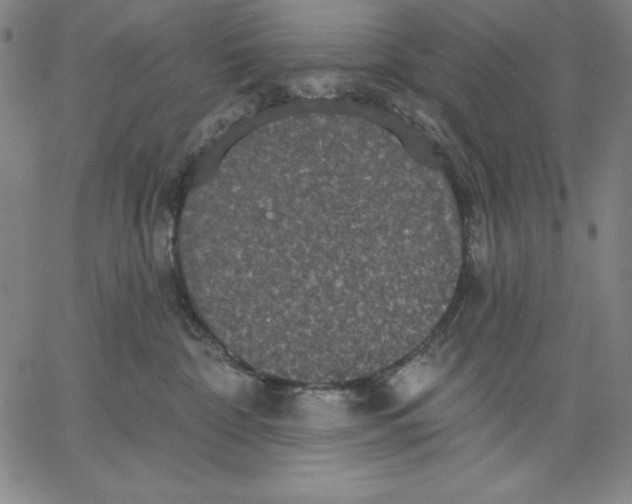 X0000066530332200604071623