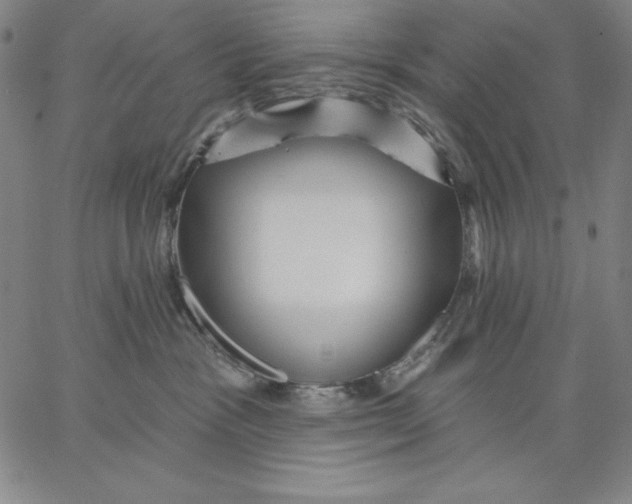 X0000066530333200604071623