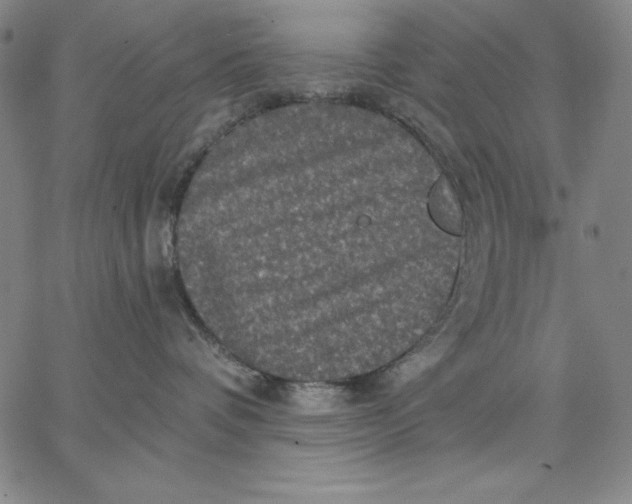 X0000066530336200604071623