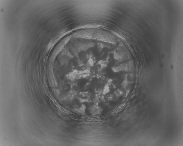 X0000066530337200604071622