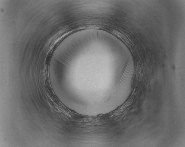 X0000066530338200604071622