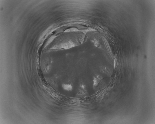 X0000066530339200604071622