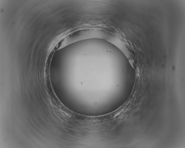 X0000066530340200604071622