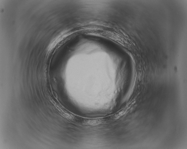 X0000066530341200604071622