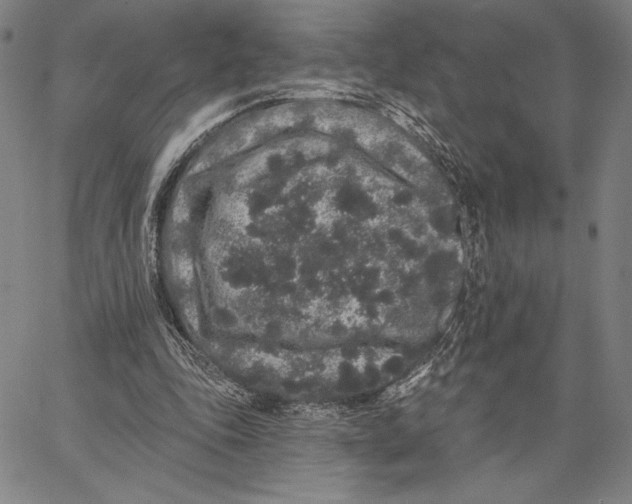 X0000066530343200604071622