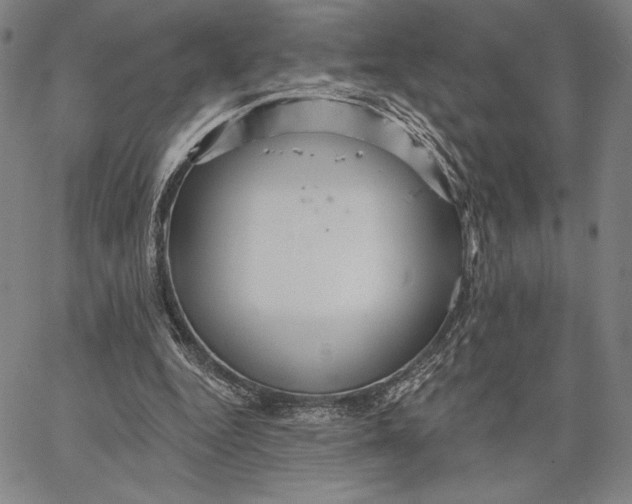 X0000066530344200604071622