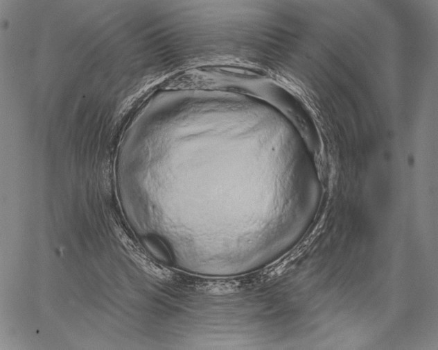 X0000066530345200604071622