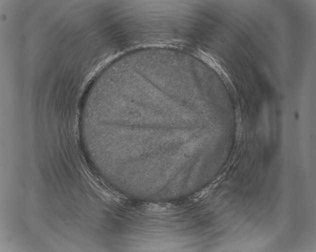 X0000066530346200604071622