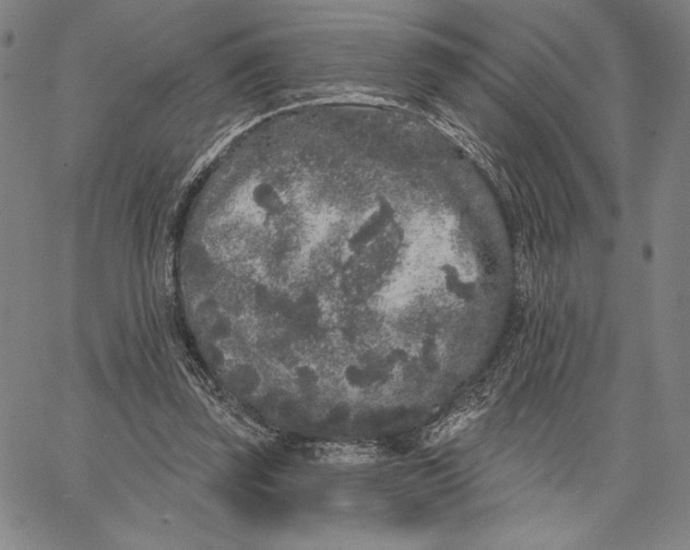 X0000066530347200604071622