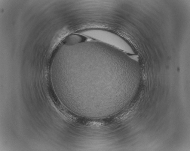 X0000066530352200604071622