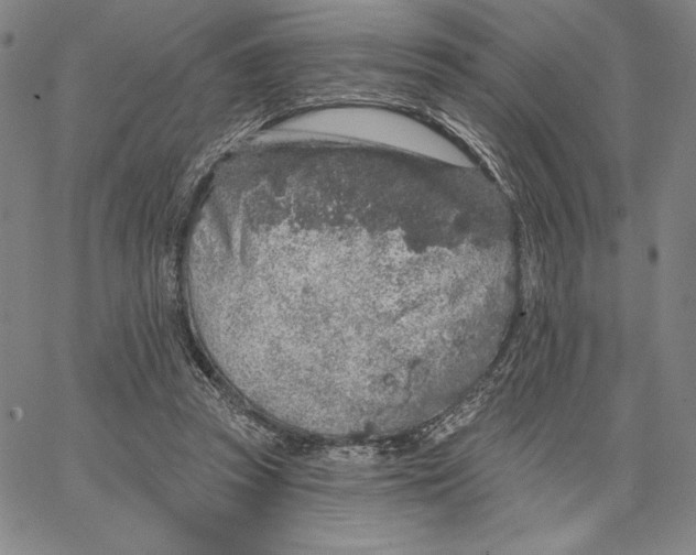 X0000066530353200604071622