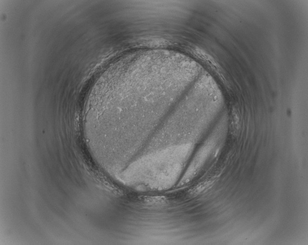 X0000066530355200604071622