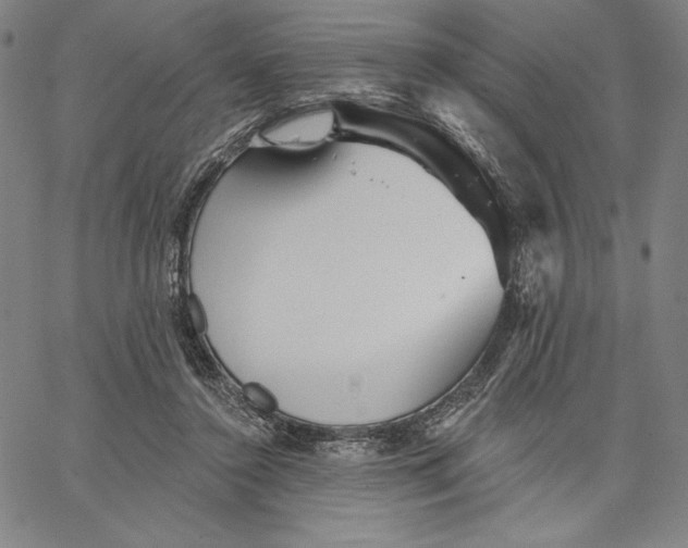 X0000066530356200604071623