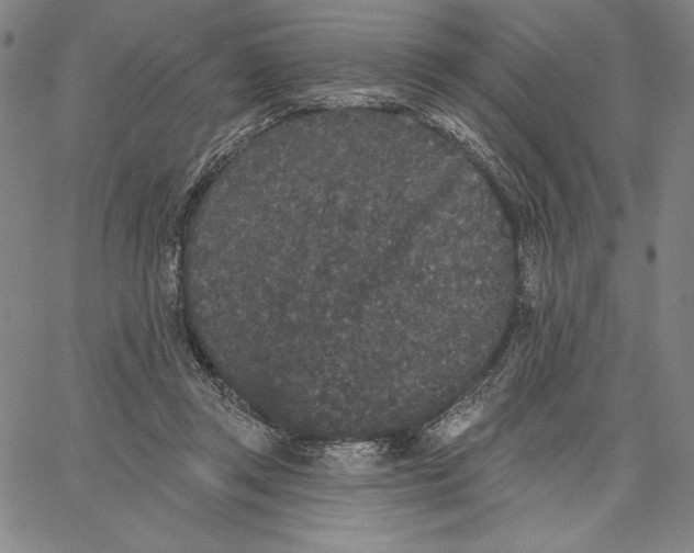 X0000066530357200604071623