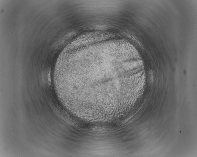 X0000066530358200604071623