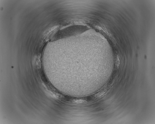 X0000066530360200604071623