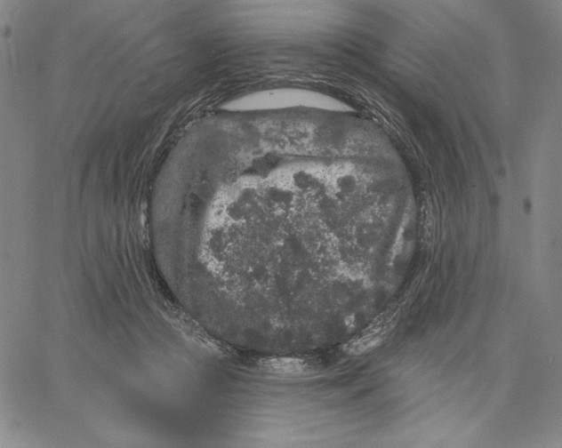 X0000066530361200604071623