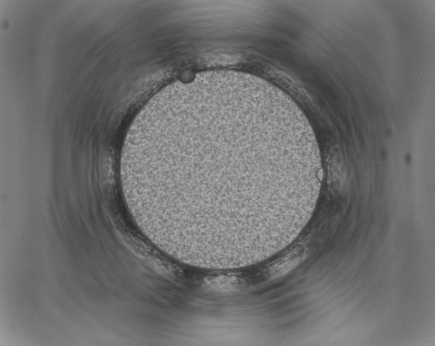 X0000066530362200604071623