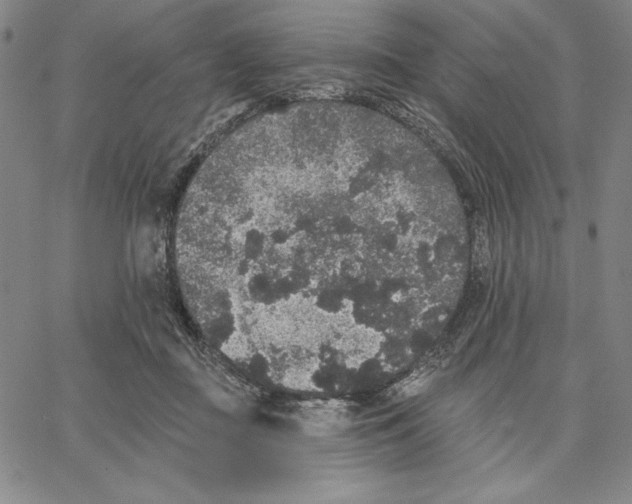 X0000066530363200604071623