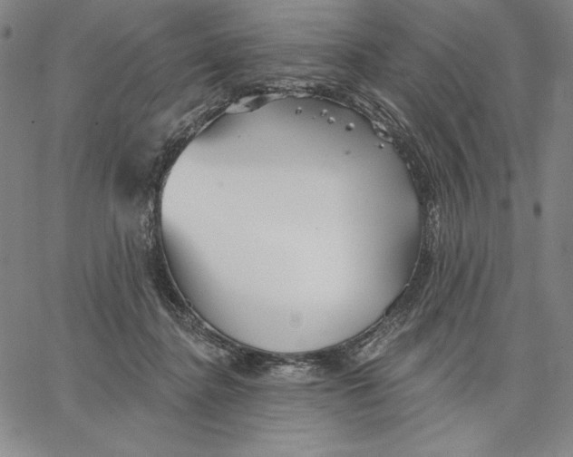 X0000066530364200604071623