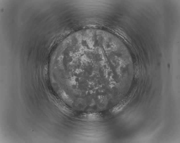 X0000066530365200604071623