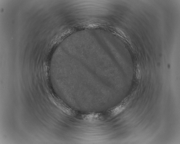 X0000066530366200604071623