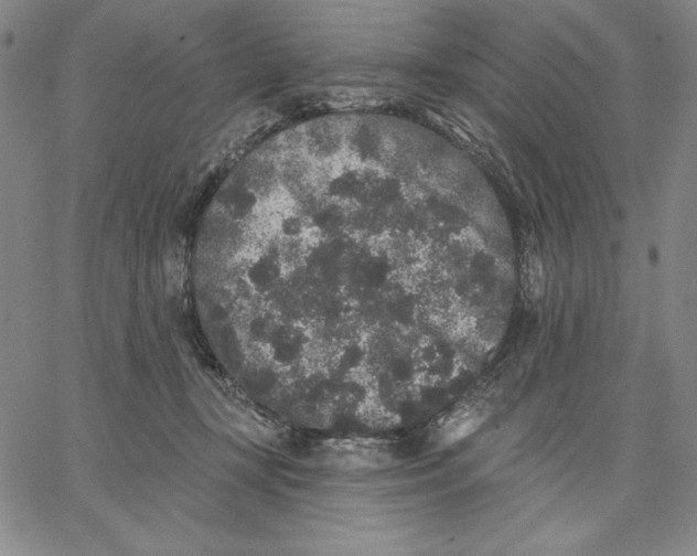 X0000066530367200604071623