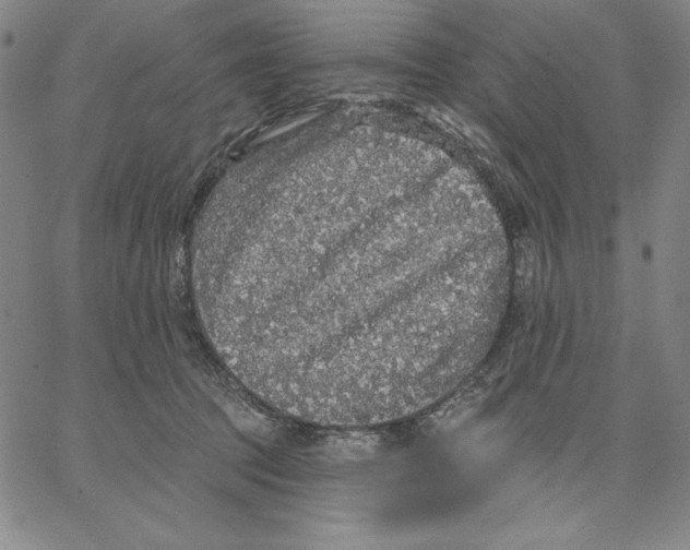 X0000066530369200604071623